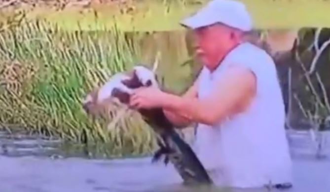 (Video) Salvó a perrito de las fauces de un cocodrilo