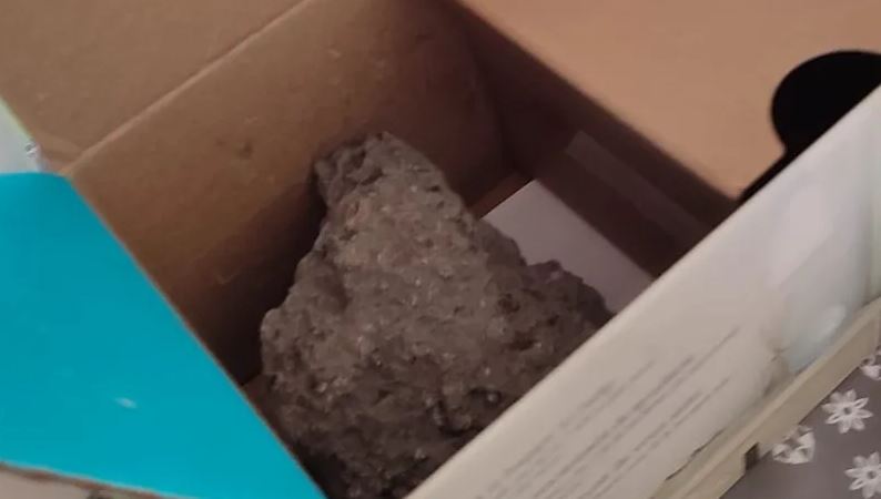 ¿Cómo? PIdió por internet una "Alexa" pero le llegó una piedra