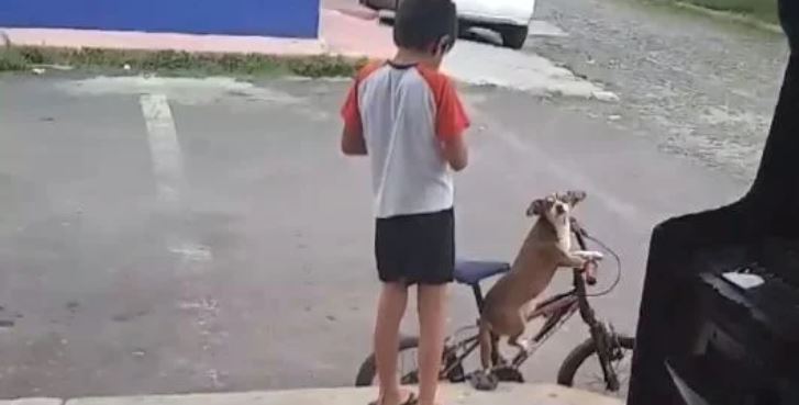 (VÍDEO) Inusual paseo de un niño con su perro en bicicleta