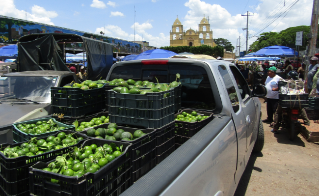 Limón, naranja dulce y agria suben de precio en Yucatán