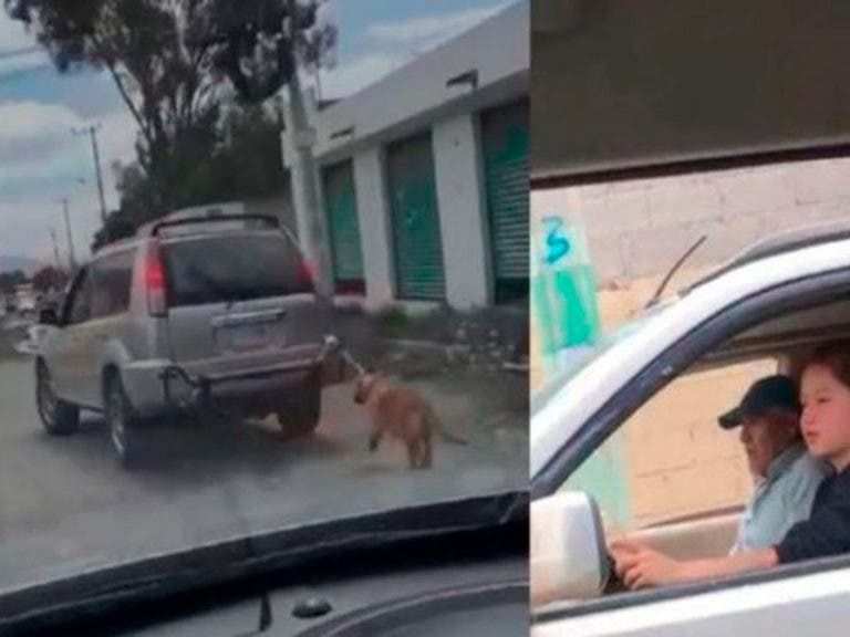 VIDEO: Sujetos arrastran con una camioneta a un perrito por varios metros