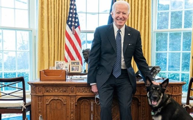 Murió 'Champ', uno de los perros de la familia Biden