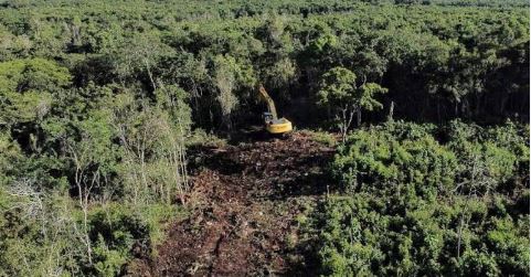 Gobierno federal importará piedra de Cuba Tren Maya ¿No hay en Yucatán?