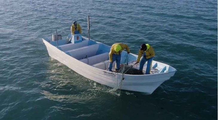 Juez declara inocente a líder pescador acusado de tráfico de totoaba en BC