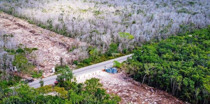 Calkiní: Hallan montículo maya en trabajos del Tren Maya