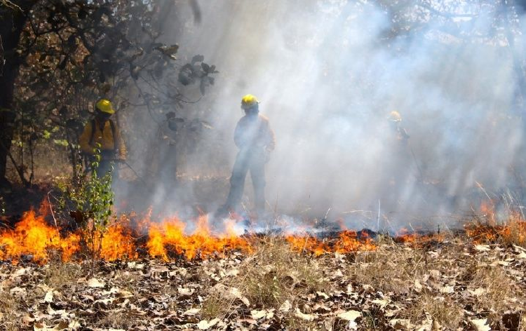 Yucatán: Termina temporada de quemas que fue devastadora para productores