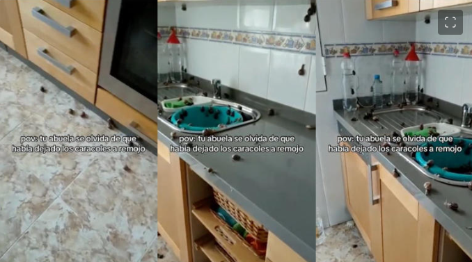 VIDEO: Abuela remoja a caracoles mucho tiempo: intentan escapar de ser cocinados