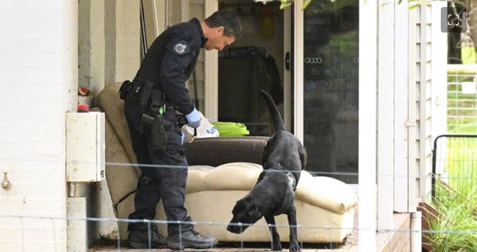 Detienen a una mujer por la muerte de sus exsuegros; los habría envenenado con hongos