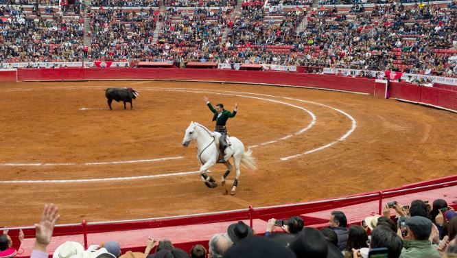 Juez suspende corridas de toros en la Plaza México