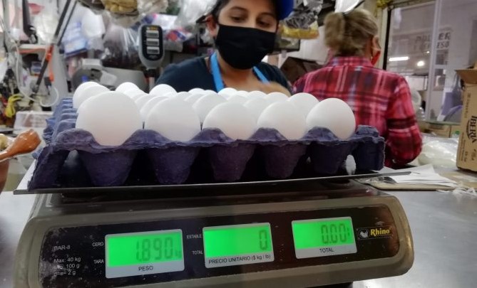 Aumenta el costo del huevo por la inflación; empresarios