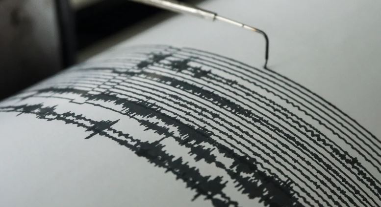 Sismo magnitud 4.6 sacude a Chiapas