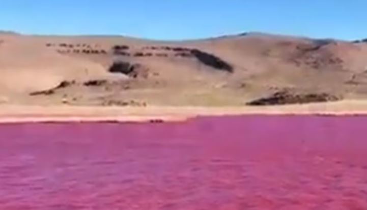 VIDEO: El Nilo se tiñó de rojo en Egipto ¿Presagio bíblico?