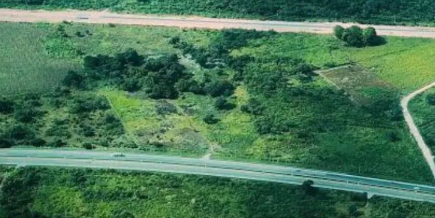 uzgado otorga suspensión definitiva contra tramos de Tren Maya por daños ambientales