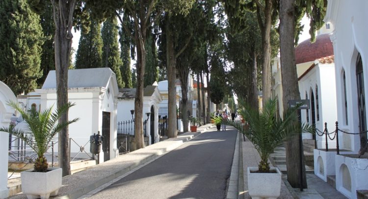 Mérida: Cementerios municipales cerrarán sus puertas el próximo fin de semana