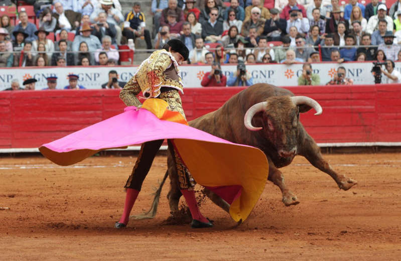 Legisladores dan aval en comisiones para prohibir corridas de toros en CDMX