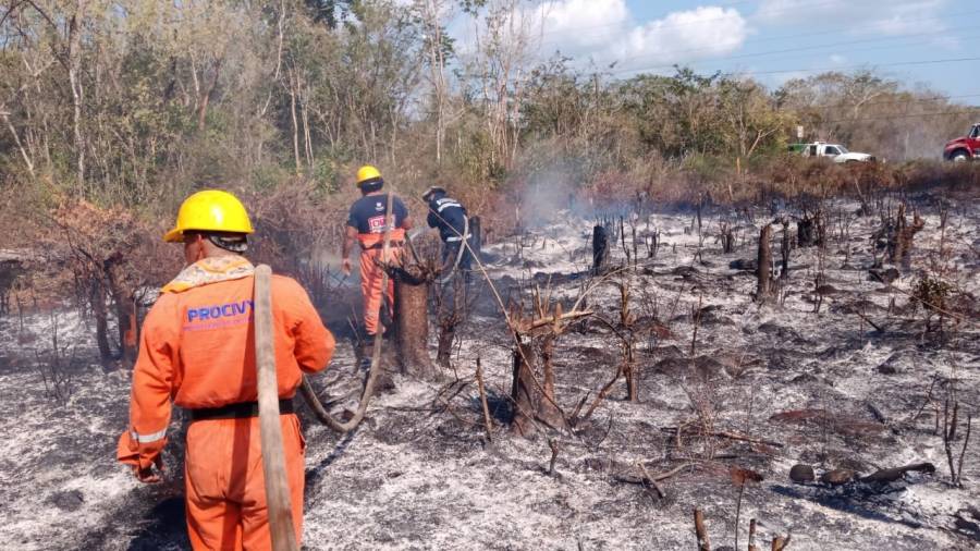 Yucatán: Ya suman 284 reportes de incendios que afectaron 1,422 hectáreas