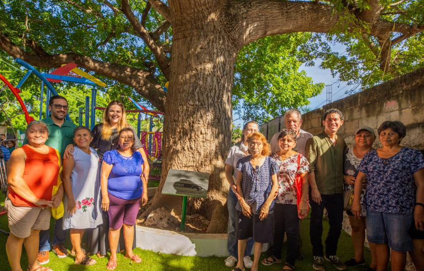 Formalizan en Mérida la “Declaratoria Árbol Patrimonio Verde”