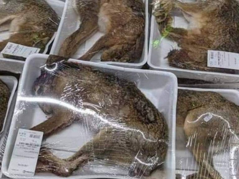 Supermercado empaqueta animales enteros y causa indignación