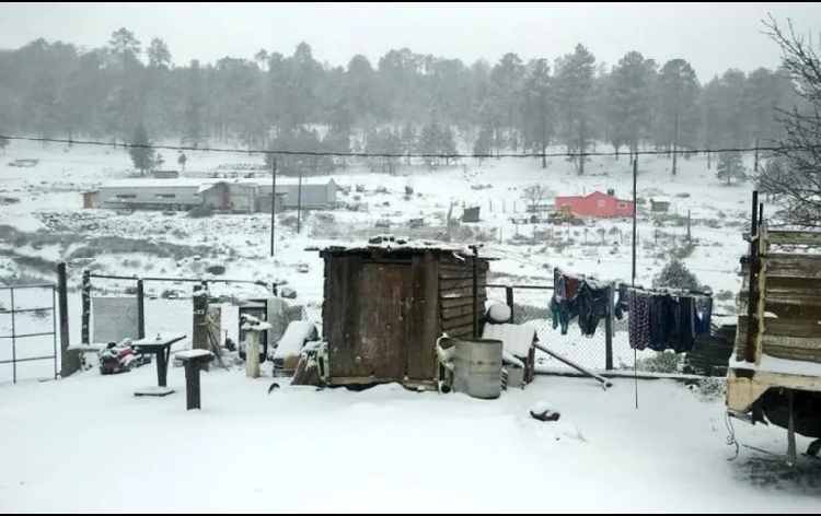 Suman nueve municipios con caída de nieve en Durango