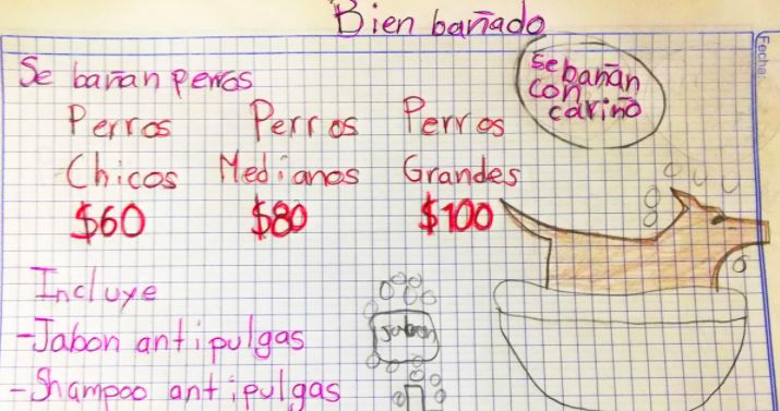 Monterrey: Niño monta su negocio para bañar perritos y así costear su carrera