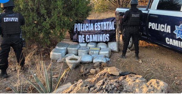 Policía asegura 80 kilos de aparente marihuana en carretera Guadalajara-Tepic