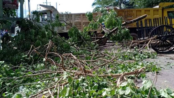 Chiapas: Siguen hostilidades entre criminales; disputan control de la Sierra Madre