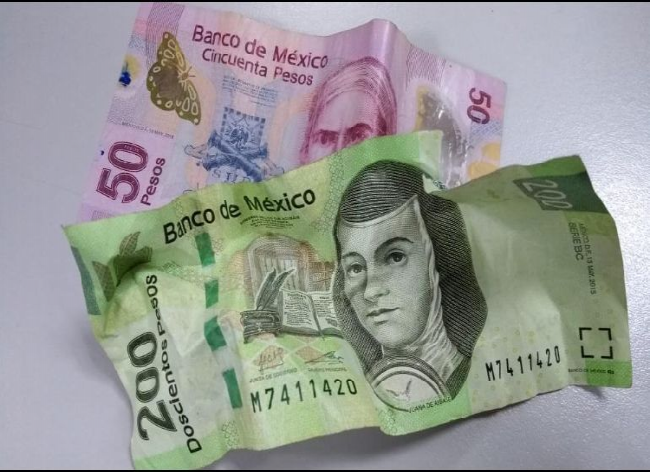 Billetes pueden perder su valor, es mejor no maltratarlos