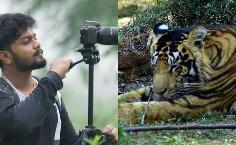 Joven indio logra fotografiar a dos Tigres Negros