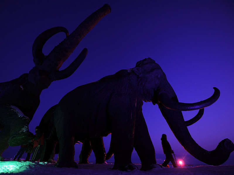 Empresa va por la des-extinción; quiere de vuelta a los mamuts lanudos