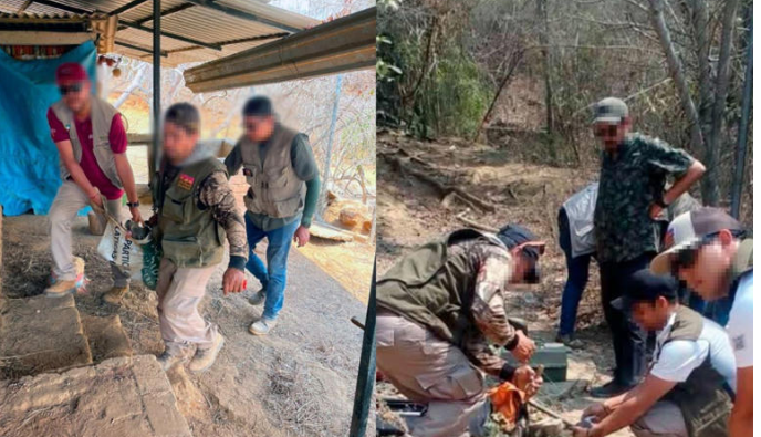 Michoacán: Rescatan a 50 venados cola blanca de un criadero ilegal en Lázaro Cárdenas