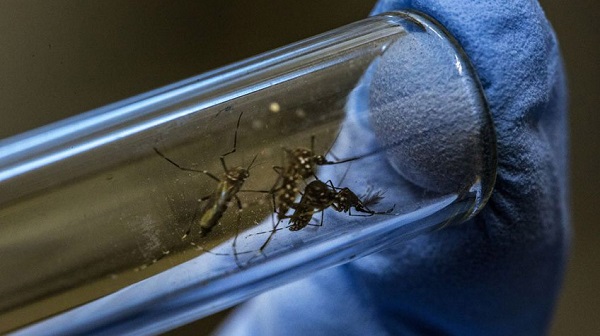 Ya hay más de 3,000 casos de dengue en México y registro de 11 muertes