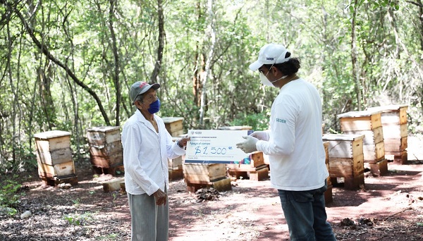 Yucatán: Más de 1,270 apicultores, de 83 municipios, reciben apoyos económicos