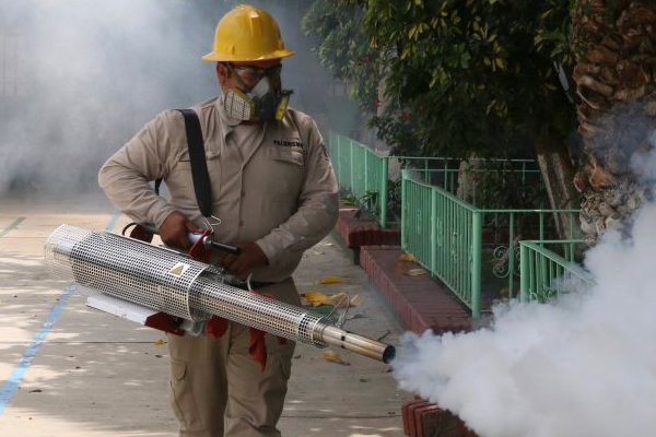 Veracruz y Jalisco, al borde de la crisis por casos de dengue