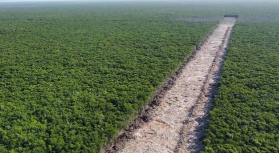 Gobierno declara al Tren Maya como obra de "seguridad nacional"