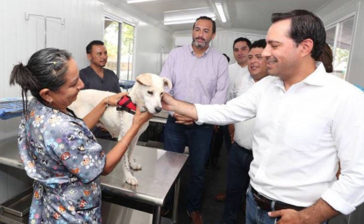 Yucatán: Dan a mascotas actas del Registro Civil en Kanasín