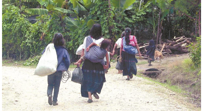 Chiapas: Tzotziles denuncian abandono, piden ayuda humanitaria