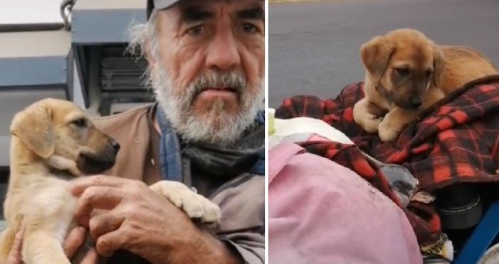 Abuelo pide ayuda a veterinario para curar a su perrita.. con final feliz