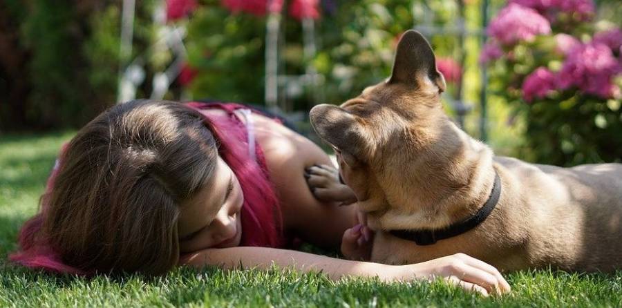 Hizo una sesión de fotos con su perro y terminó con el rostro desfigurado