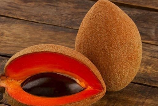 Yucatán: Baja el precio del mamey ¡Aprovecha esta deliciosa fruta!