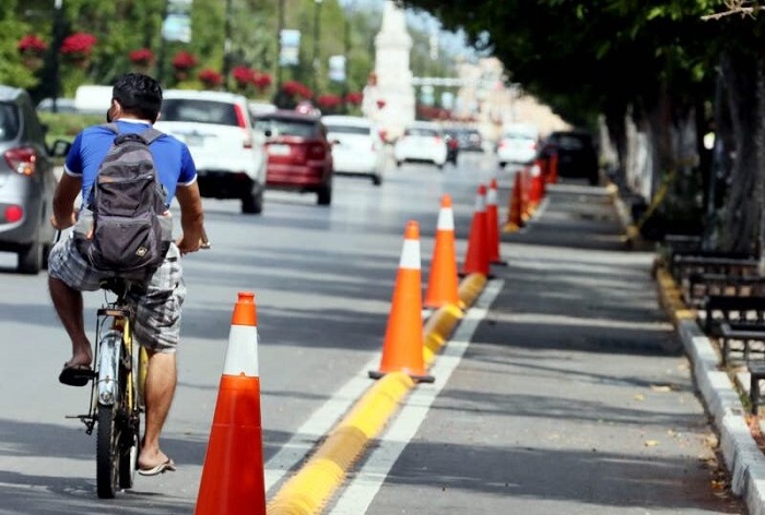 Que harán una consulta sobre las ciclovías, maceteros y el cambio de paraderos