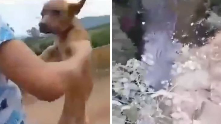 (VÍDEO) Michoacán: Adolescentes se graban lanzado a perrito a barranco y le disparan