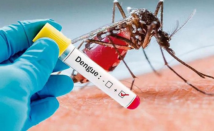 Aumentan las muertes por dengue en Yucatán