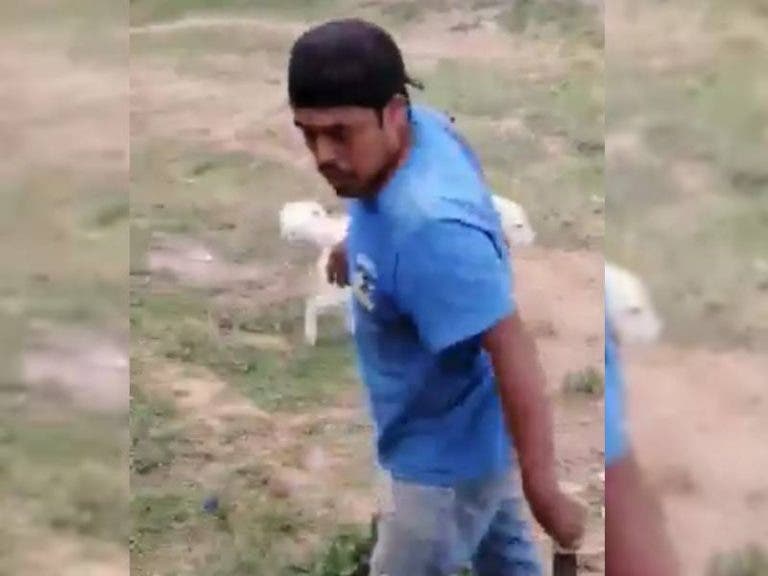 Andan tras sujeto que mató a perrita a machetazos