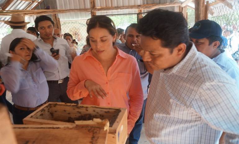 Inauguran nuevo meliponario en beneficio de familias de Yucatán