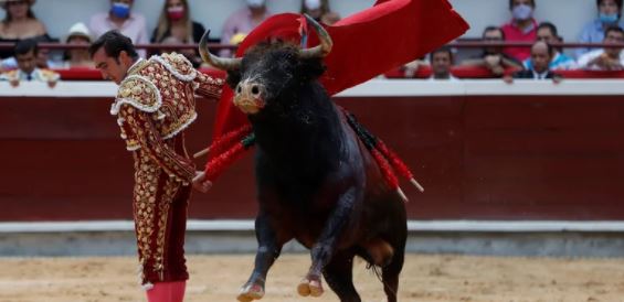 Sinaloa prohíbe las corridas de toros