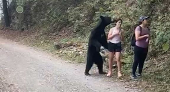 Oso sorprende a deportistas en Nuevo León y se toman selfie