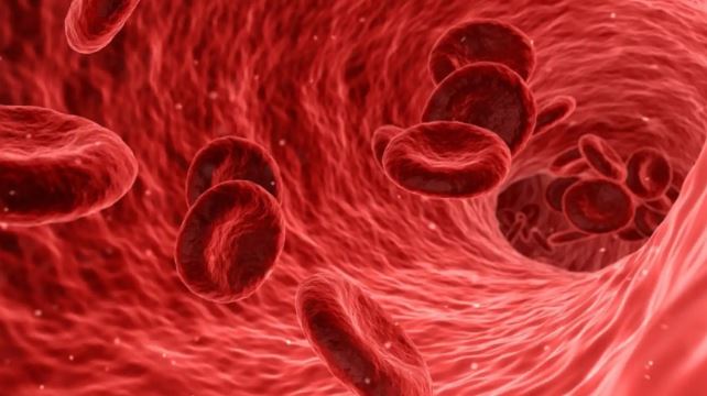 El sencillísimo hábito que reduce el azúcar en sangre, según la ciencia