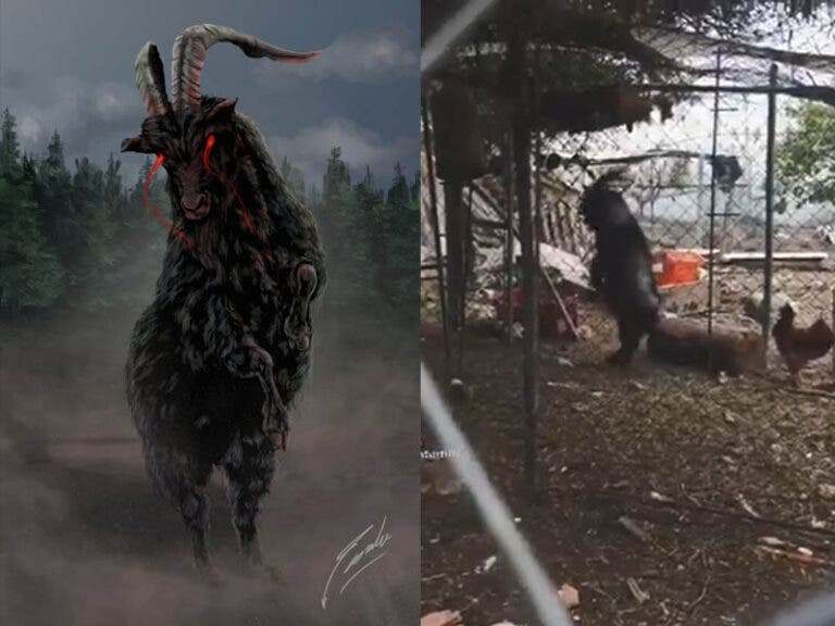 VIDEO: ¿Satanás? Captan a una cabra caminando en dos patas
