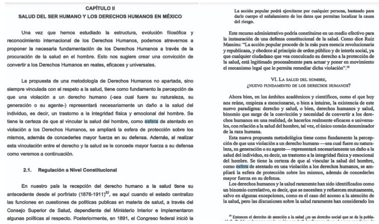 Plagio, hasta en integrante del Comité de Ética de la UNAM