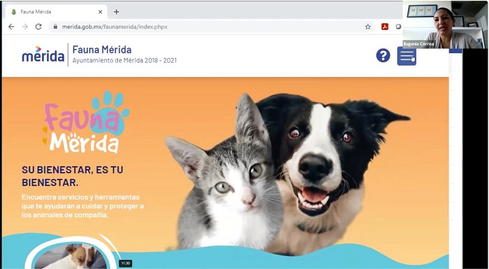Crean “Fauna Mérida”, plataforma para el cuidado de animales